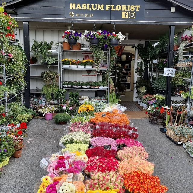 Butikkens uteområde med blomster